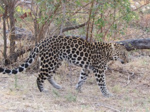 IMG_1880